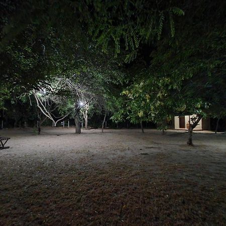Clay Hut Village Polonnaruwa Εξωτερικό φωτογραφία
