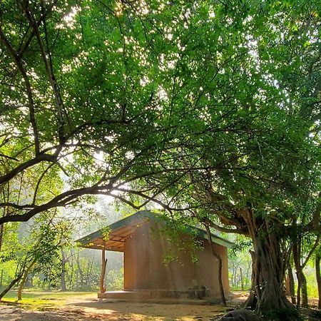 Clay Hut Village Polonnaruwa Εξωτερικό φωτογραφία