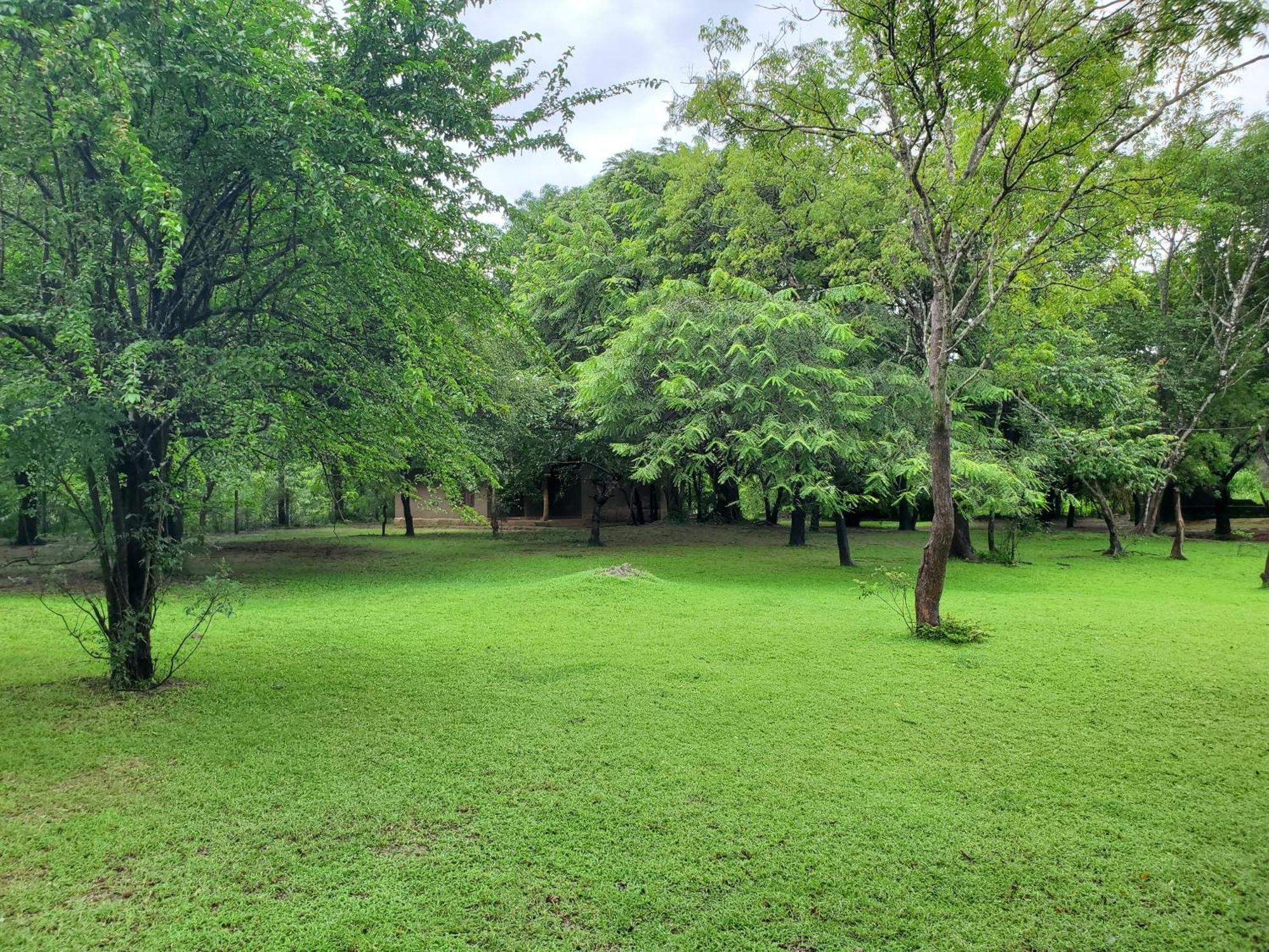 Clay Hut Village Polonnaruwa Εξωτερικό φωτογραφία