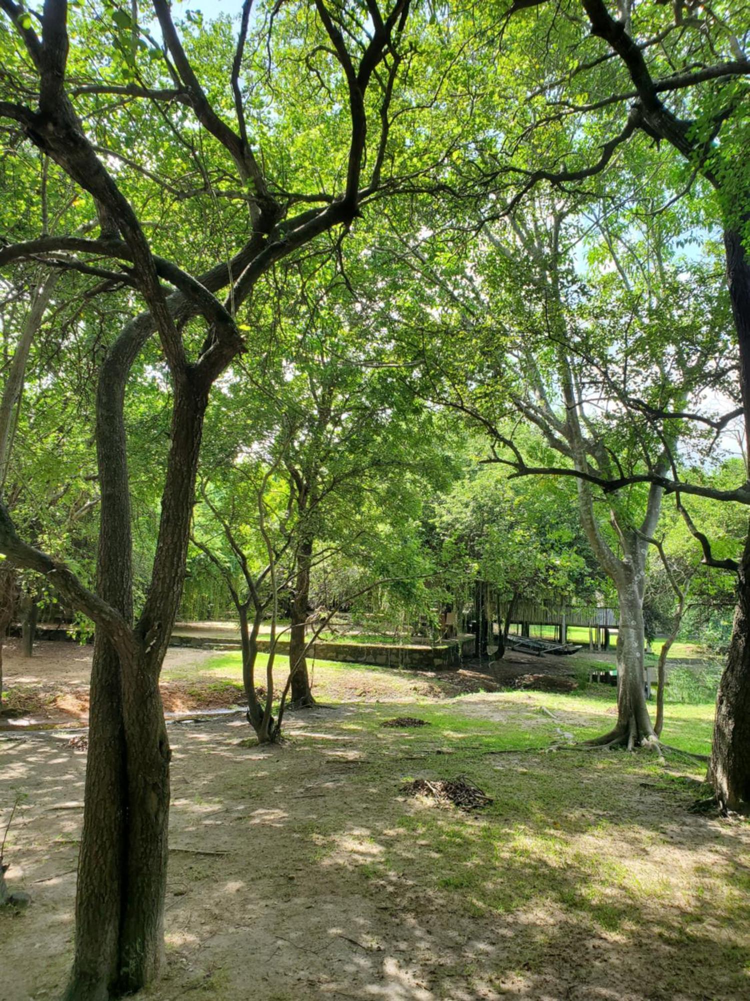 Clay Hut Village Polonnaruwa Εξωτερικό φωτογραφία