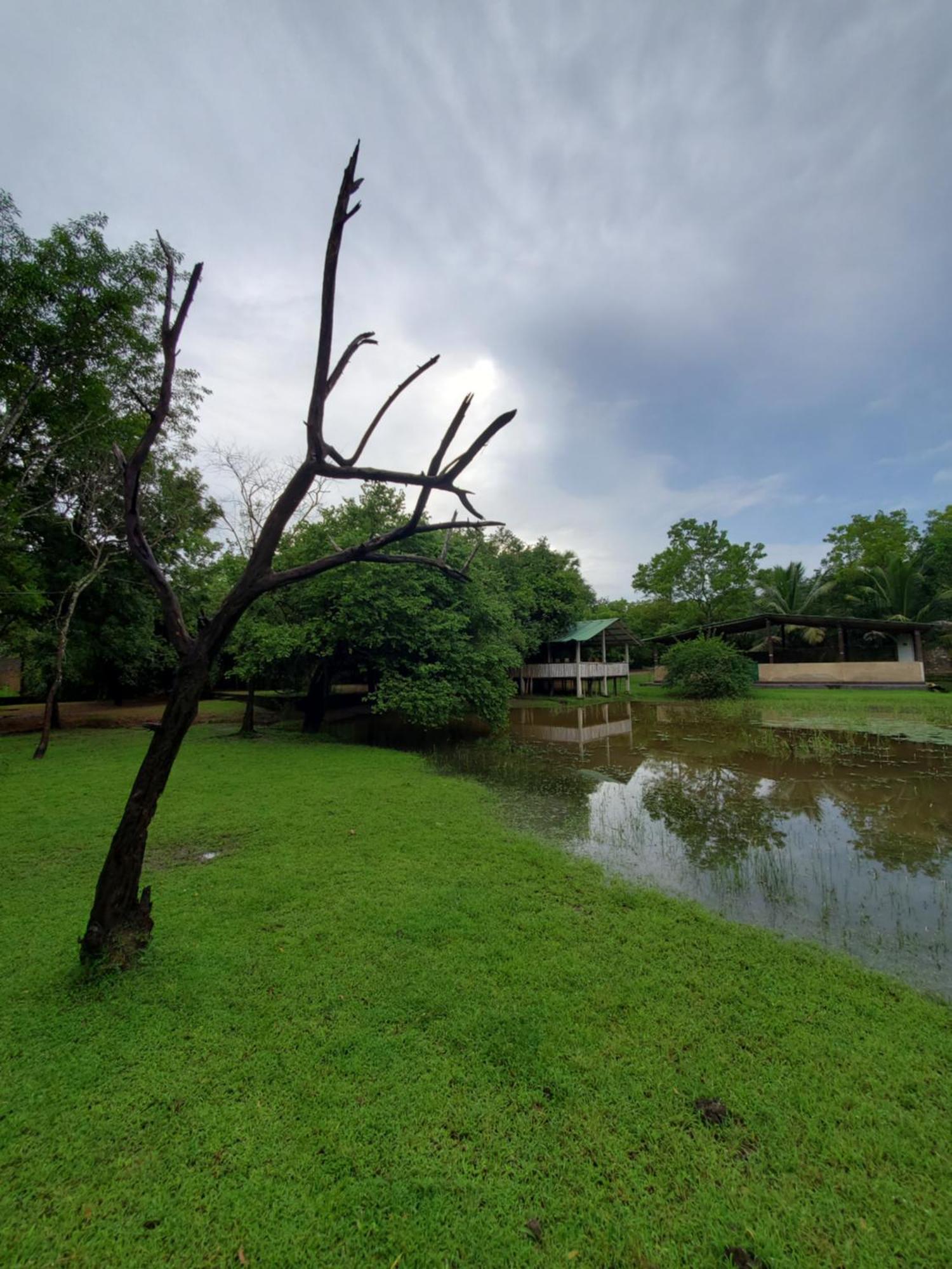 Clay Hut Village Polonnaruwa Εξωτερικό φωτογραφία
