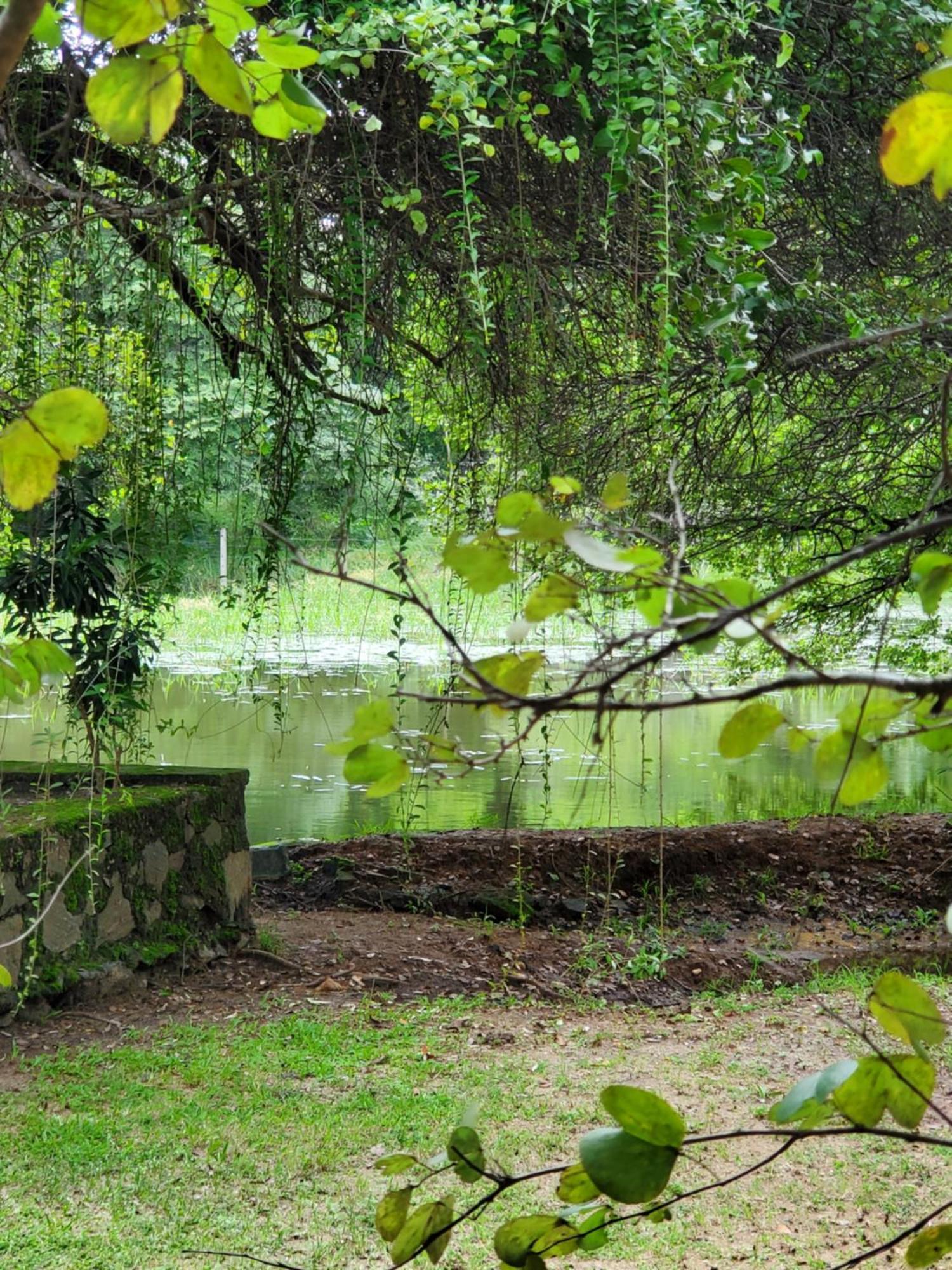 Clay Hut Village Polonnaruwa Εξωτερικό φωτογραφία