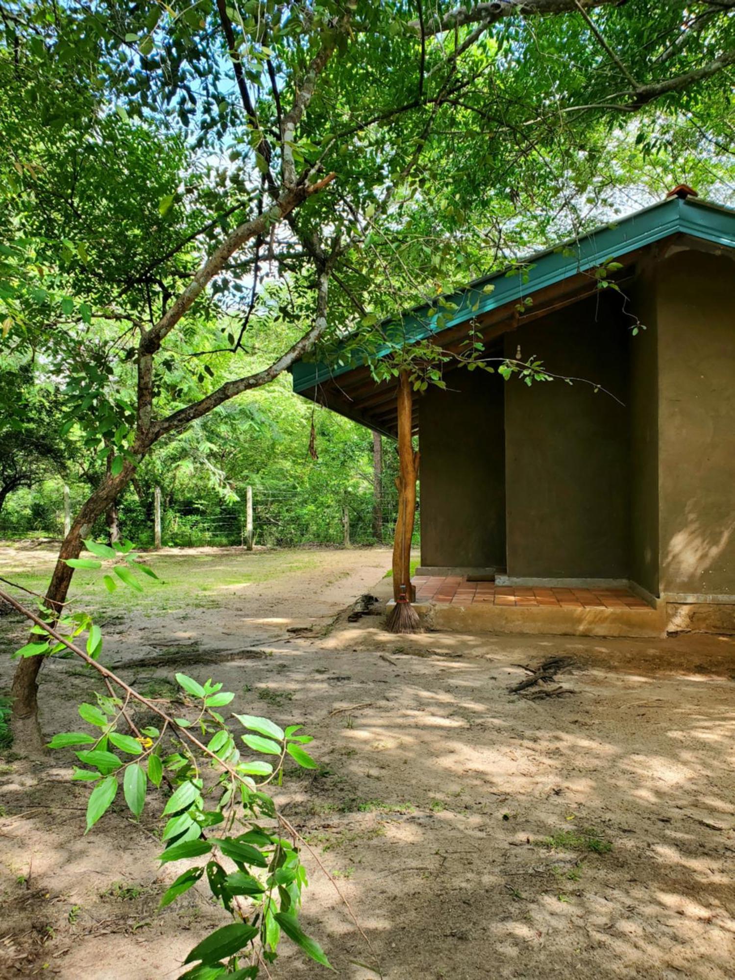 Clay Hut Village Polonnaruwa Εξωτερικό φωτογραφία