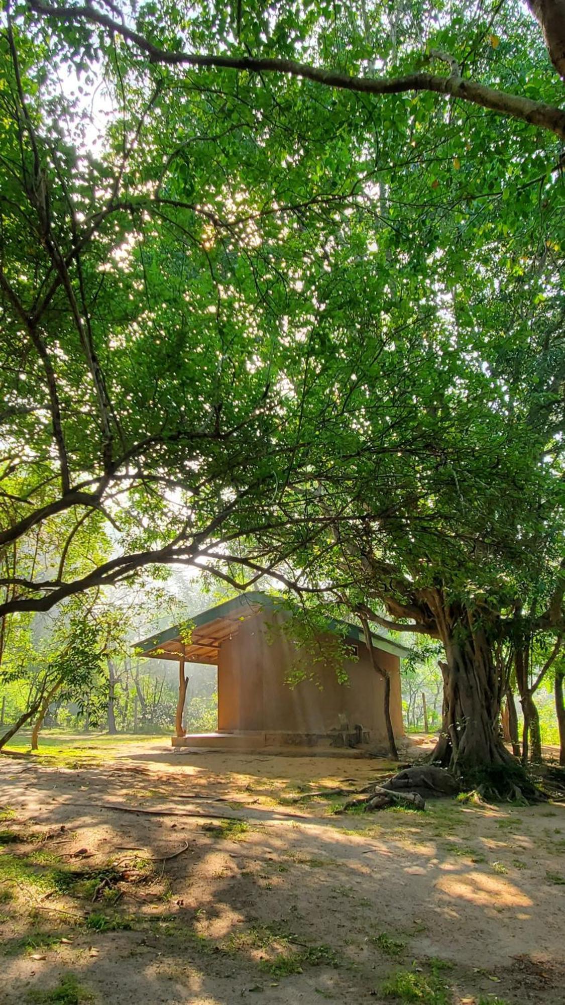Clay Hut Village Polonnaruwa Εξωτερικό φωτογραφία